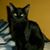 Judith Andrea Griffin's profile image
