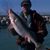 Tom Frymoyer's profile image