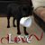 Tracy McNamara's profile image