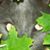 Beverly Duffield's profile image