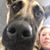Hannah Ashmore's profile image