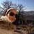 Adriana Zanello G. Cortez's profile image