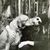 Anna Christine Farrell's profile image