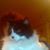 Vicky Santos's profile image