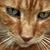 Margaret Ellen Bradford's profile image