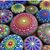 Holly Hamrick Farrar's profile image