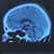 Vanessa L. Hull's profile image