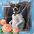 Deborah Herman's profile image