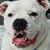 Toni Ann Donahue Kelly's profile image