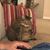 Cheyenne Shelton's profile image