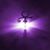 Lisa Whitson Riley's profile image