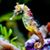 Maureen Mertz's profile image
