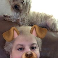 Teri Avila's profile image