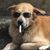 Ben Paulsen's profile image