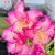 Kristina Nason Byer's profile image