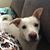 Carolyn Barnes's profile image