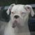 Cyndi Mosca's profile image