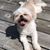 Kaytlyn Hicks's profile image