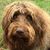 Kristie Wehe's profile image