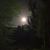 Dawn Santangel Pearsall's profile image