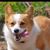 Tracey Matthews's profile image