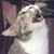 Steph Munkster's profile image