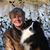 Caren Liddicoat Swanson's profile image