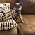 Carolynn Morris's profile image