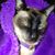 Bonnie Miller's profile image