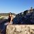 Sthefany Hoyos's profile image