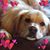 Leslie Nishimura Dugger's profile image