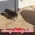 Debbie Croft's profile image