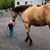 Julie-Mark Farnsworth's profile image