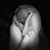 Michael Noack Sr.'s profile image