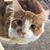Dawn Brozik's profile image