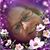 Donna Matthews Atkins's profile image