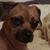 Barbara A. Alexander's profile image