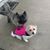 Joanne Dirzuweit Squires's profile image