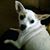 Nick Shipley's profile image
