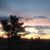 Marilyn Johnston's profile image