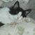 Rachel Yohn's profile image