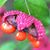 Donna Jackson Hut's profile image