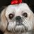 Trish Hennessy's profile image