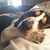 Jason Clinton's profile image