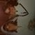 Mary Potts's profile image