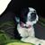 Elizabeth Carter's profile image