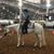 Melinda Boyer's profile image