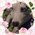 Jonathan Comsa's profile image