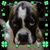 Deanna Taylor's profile image