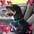 Bruce Pierce's profile image